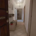 Guest house Domus Amica *